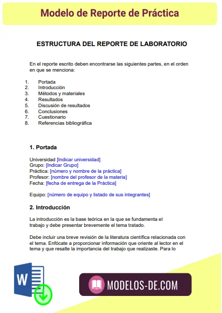 modelo-reporte-practica-ejemplo-formato
