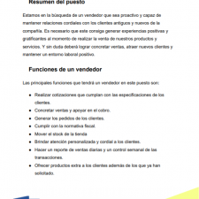 ejemplo-modelo-formato-plantilla-descripcion-puesto-vendedor