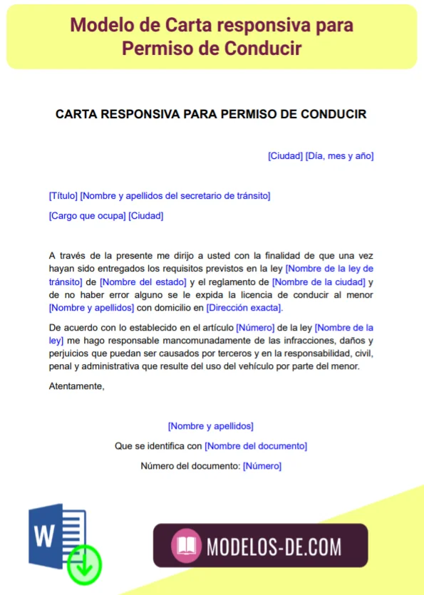 modelo-formato-carta-responsiva-permiso-conducir